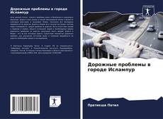 Capa do livro de Дорожные проблемы в городе Ислампур 