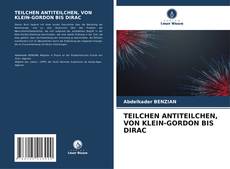 Bookcover of TEILCHEN ANTITEILCHEN, VON KLEIN-GORDON BIS DIRAC