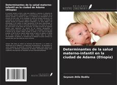 Buchcover von Determinantes de la salud materno-infantil en la ciudad de Adama (Etiopía)