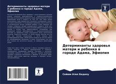 Bookcover of Детерминанты здоровья матери и ребенка в городе Адама, Эфиопия