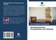 Multidisziplinäre Perspektiven der Bildung kitap kapağı
