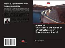 Impact de l'investissement public en infrastructures sur l'investissement privé kitap kapağı