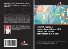 Обложка Identificazione molecolare (Gene 16S rRNA) dei batteri produttori di amilasi