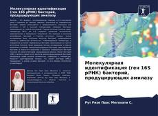 Couverture de Молекулярная идентификация (ген 16S рРНК) бактерий, продуцирующих амилазу