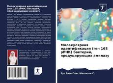 Capa do livro de Молекулярная идентификация (ген 16S рРНК) бактерий, продуцирующих амилазу 
