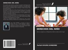 Bookcover of DERECHOS DEL NIÑO