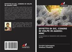 EFFETTO DI SiC, CENERE DI VOLPE IN AA6061 MMC的封面