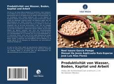 Bookcover of Produktivität von Wasser, Boden, Kapital und Arbeit