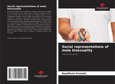 Borítókép a  Social representations of male bisexuality - hoz
