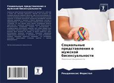 Социальные представления о мужской бисексуальности的封面