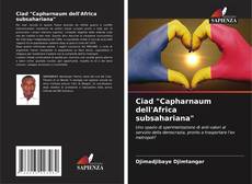 Buchcover von Ciad "Capharnaum dell'Africa subsahariana"