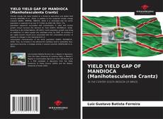 YIELD YIELD GAP OF MANDIOCA (Manihotesculenta Crantz)的封面