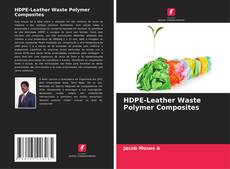 HDPE-Leather Waste Polymer Composites kitap kapağı