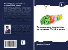 Capa do livro de Полимерные композиты из отходов ПЭНД и кожи 