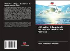 Buchcover von Utilisation intégrée de déchets de production recyclés