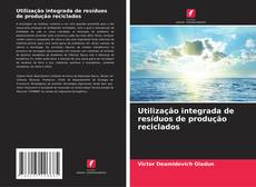 Bookcover of Utilização integrada de resíduos de produção reciclados