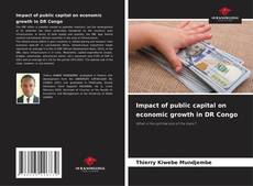 Couverture de Impact of public capital on economic growth in DR Congo
