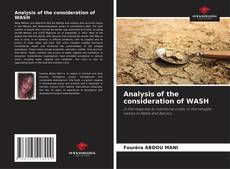 Copertina di Analysis of the consideration of WASH