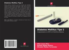 Bookcover of Diabetes Mellitus Tipo 2