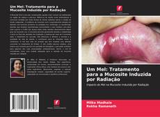 Bookcover of Um Mel: Tratamento para a Mucosite Induzida por Radiação