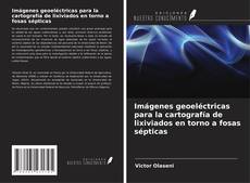 Buchcover von Imágenes geoeléctricas para la cartografía de lixiviados en torno a fosas sépticas