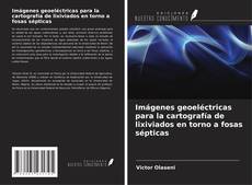 Copertina di Imágenes geoeléctricas para la cartografía de lixiviados en torno a fosas sépticas
