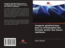 Bookcover of Imagerie géoélectrique pour la cartographie des lixiviats autour des fosses septiques