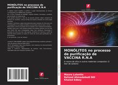 Buchcover von MONÓLITOS no processo de purificação de VACCINA R.N.A