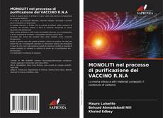 Capa do livro de MONOLITI nel processo di purificazione del VACCINO R.N.A 