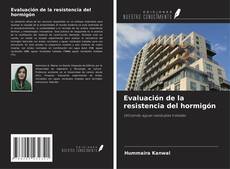Capa do livro de Evaluación de la resistencia del hormigón 