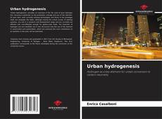 Capa do livro de Urban hydrogenesis 