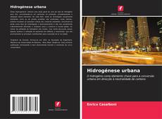 Capa do livro de Hidrogénese urbana 