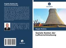 Soziale Kosten der Luftverschmutzung kitap kapağı