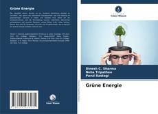 Bookcover of Grüne Energie