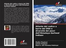 Bookcover of Atlante del codice a barre del DNA e diversità dei pesci dell'Himalaya Garhwal Indiaav