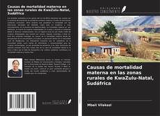Bookcover of Causas de mortalidad materna en las zonas rurales de KwaZulu-Natal, Sudáfrica