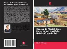 Capa do livro de Causas da Mortalidade Materna em KwaZulu-Natal, África do Sul 