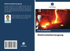 Bookcover of Elektrostahlerzeugung