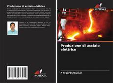 Bookcover of Produzione di acciaio elettrico