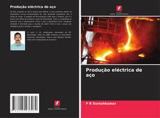Buchcover von Produção eléctrica de aço