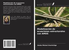 Bookcover of Modelización de ecuaciones estructurales con AMOS