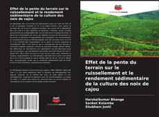 Portada del libro de Effet de la pente du terrain sur le ruissellement et le rendement sédimentaire de la culture des noix de cajou