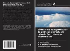 Bookcover of Síntesis de nanopartículas de ZnO con extracto de tallo de Sarcostemma intermedium