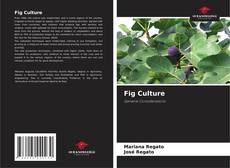 Bookcover of Fig Culture