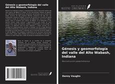 Génesis y geomorfología del valle del Alto Wabash, Indiana kitap kapağı
