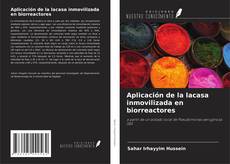Buchcover von Aplicación de la lacasa inmovilizada en biorreactores
