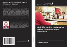 Buchcover von Opinión de los profesores sobre la formación a distancia