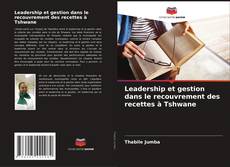 Leadership et gestion dans le recouvrement des recettes à Tshwane kitap kapağı