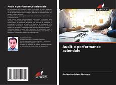 Bookcover of Audit e performance aziendale