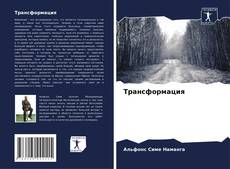 Borítókép a  Трансформация - hoz